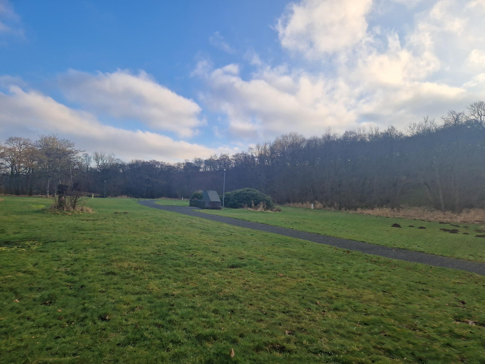 Photo of Nunnykirk site showing a grassed area with woodland in the background