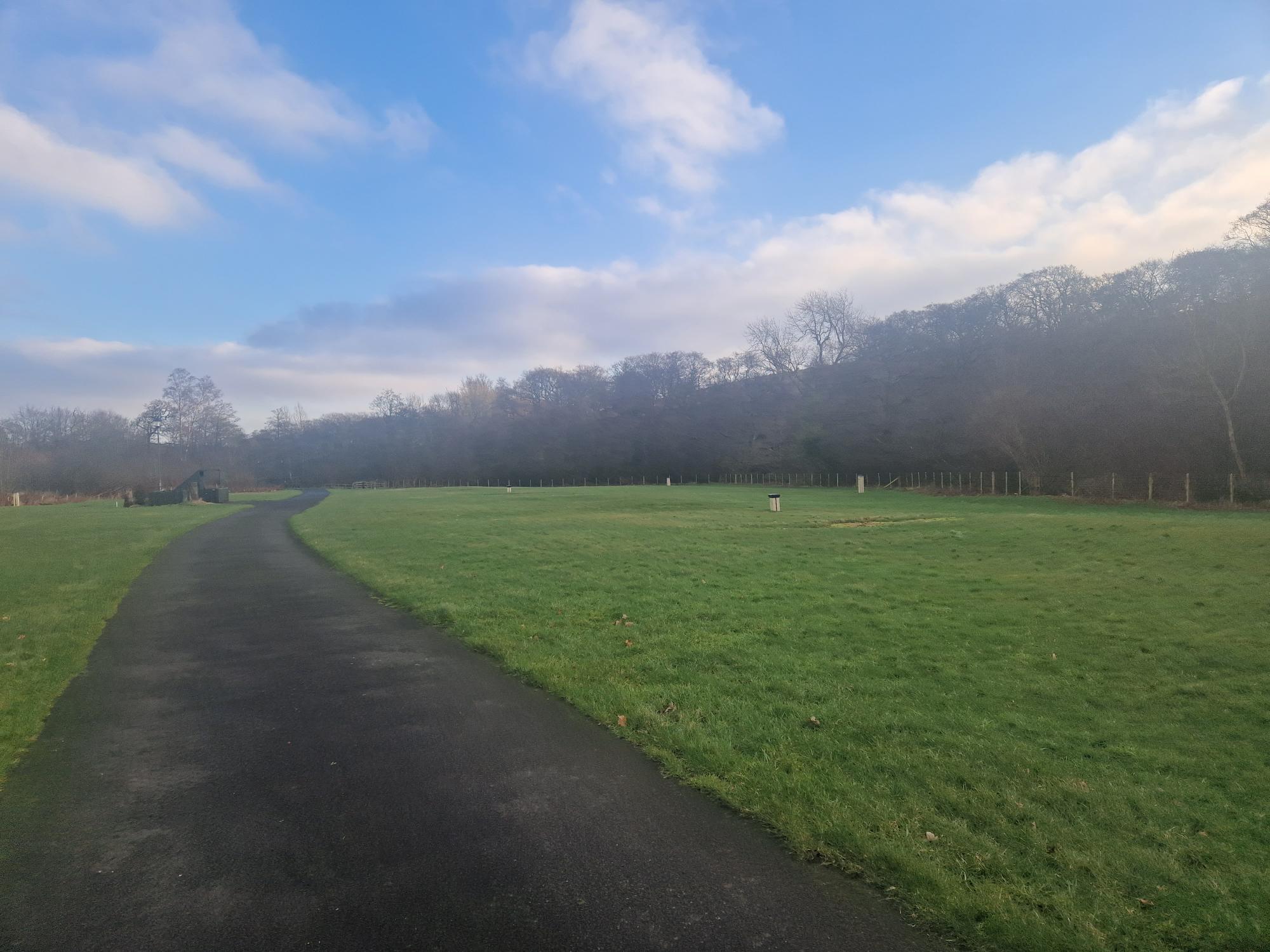 Photo of Nunnykirk site showing a grassed area with woodland in the background