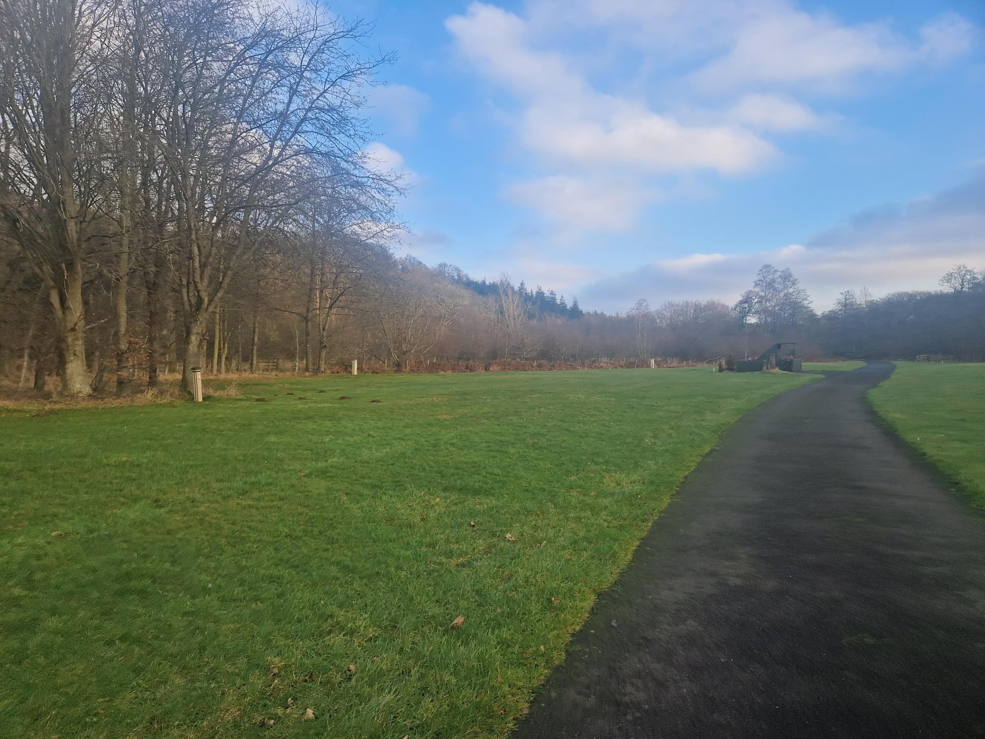 Photo of Nunnykirk site showing a grassed area with woodland in the background