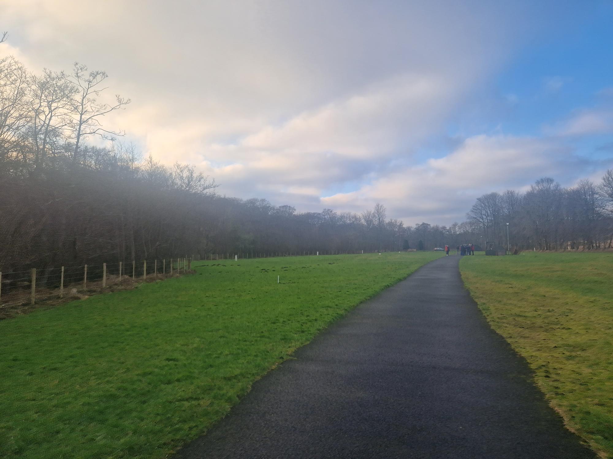 Photo of Nunnykirk site showing a grassed area with woodland in the background